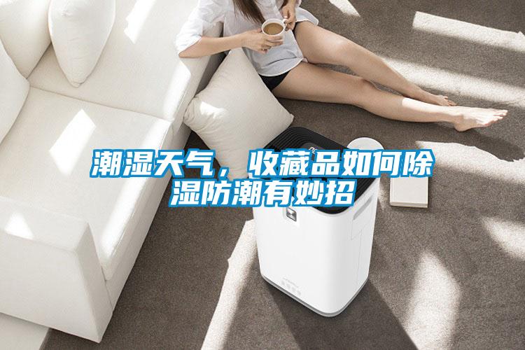 潮濕天氣，收藏品如何除濕防潮有妙招