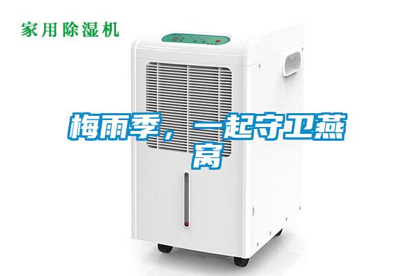 梅雨季，一起守衛(wèi)燕窩