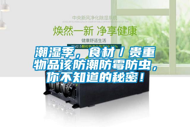 潮濕季，食材／貴重物品該防潮防霉防蟲，你不知道的秘密！
