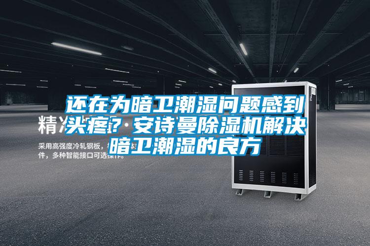 還在為暗衛(wèi)潮濕問題感到頭疼？安詩曼除濕機解決暗衛(wèi)潮濕的良方