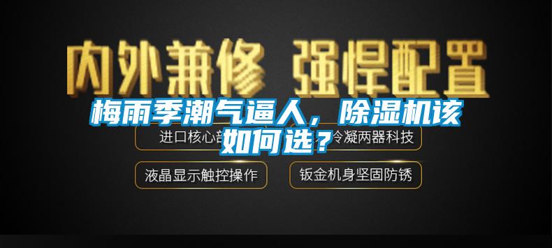 梅雨季潮氣逼人，除濕機(jī)該如何選？