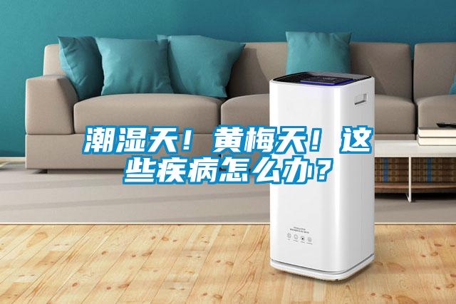 潮濕天！黃梅天！這些疾病怎么辦？