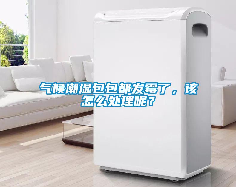 氣候潮濕包包都發(fā)霉了，該怎么處理呢？