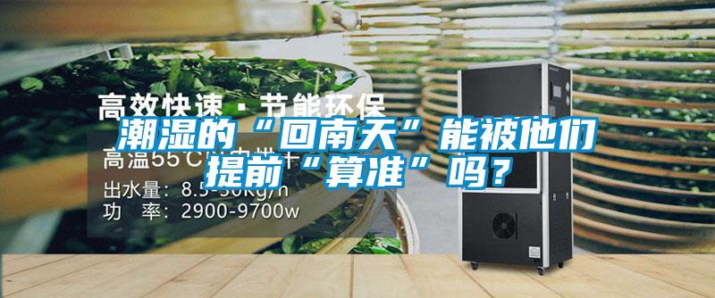潮濕的“回南天”能被他們提前“算準”嗎？