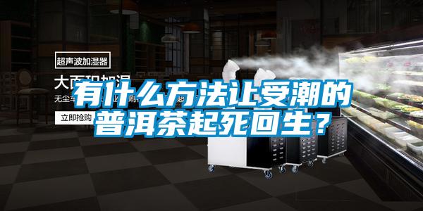 有什么方法讓受潮的普洱茶起死回生？