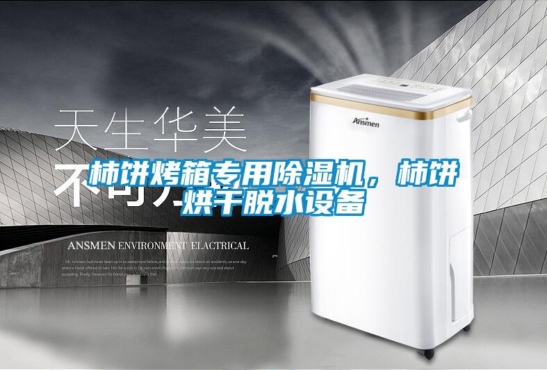 柿餅烤箱專(zhuān)用除濕機(jī)，柿餅烘干脫水設(shè)備