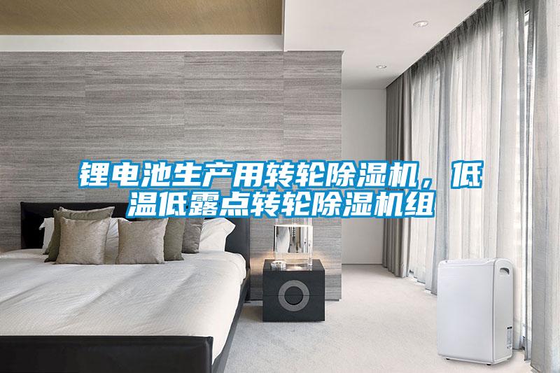 鋰電池生產(chǎn)用轉(zhuǎn)輪除濕機(jī)，低溫低露點(diǎn)轉(zhuǎn)輪除濕機(jī)組