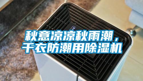 秋意涼涼秋雨潮，干衣防潮用除濕機