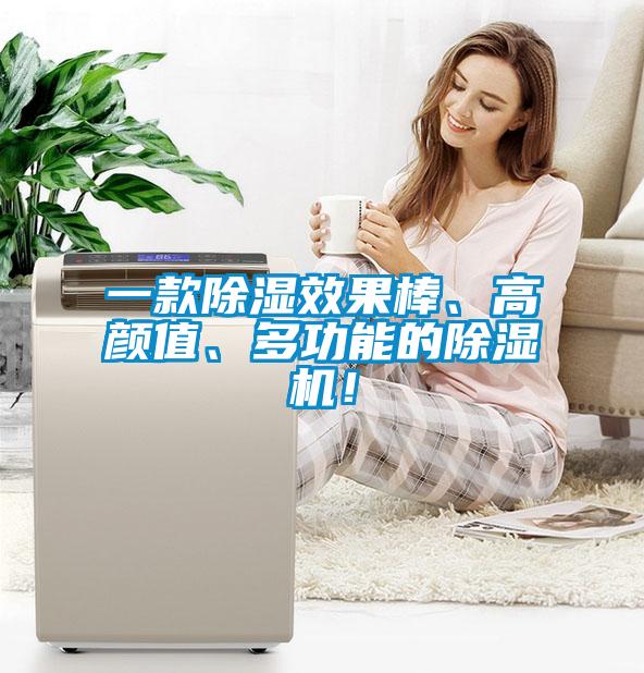 一款除濕效果棒、高顏值、多功能的除濕機！