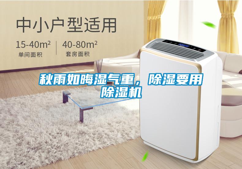 秋雨如晦濕氣重，除濕要用除濕機