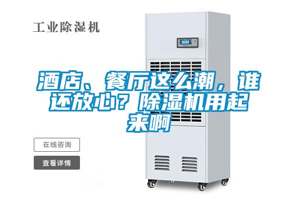 酒店、餐廳這么潮，誰還放心？除濕機(jī)用起來啊