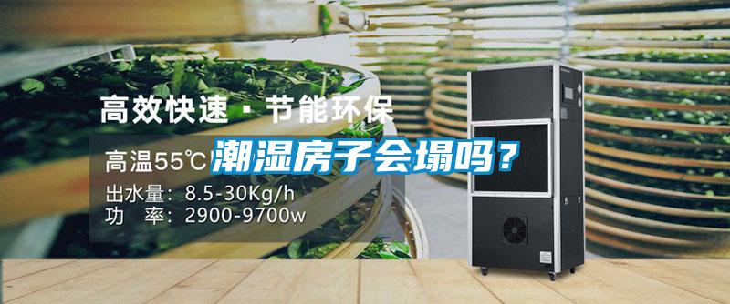 潮濕房子會(huì)塌嗎？