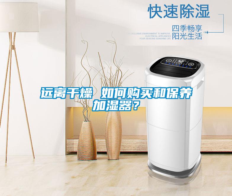 遠(yuǎn)離干燥 如何購(gòu)買和保養(yǎng)加濕器？