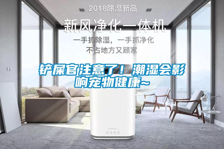 鏟屎官注意了！潮濕會影響寵物健康~