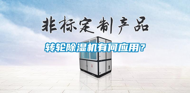 轉(zhuǎn)輪除濕機有何應(yīng)用？