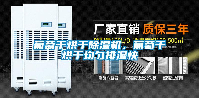 葡萄干烘干除濕機，葡萄干烘干均勻排濕快