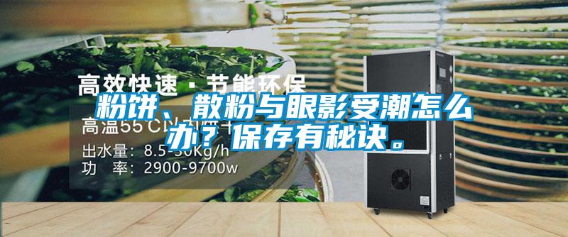 粉餅、散粉與眼影受潮怎么辦？保存有秘訣。