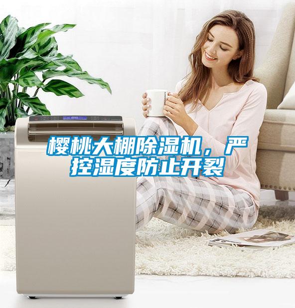 櫻桃大棚除濕機，嚴控濕度防止開裂
