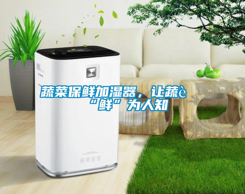 蔬菜保鮮加濕器，讓蔬菜“鮮”為人知