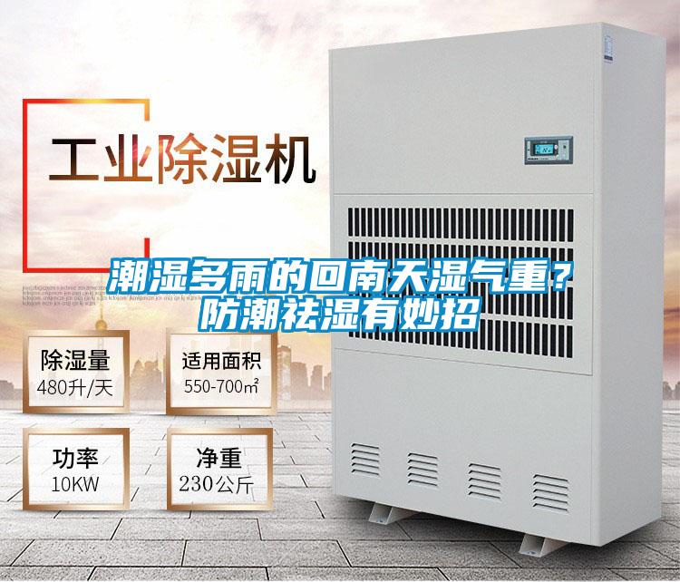 潮濕多雨的回南天濕氣重？防潮祛濕有妙招