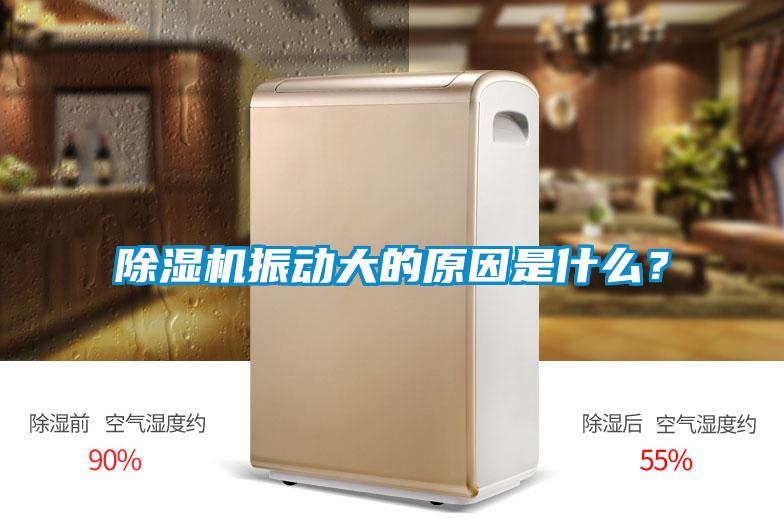 除濕機(jī)振動(dòng)大的原因是什么？