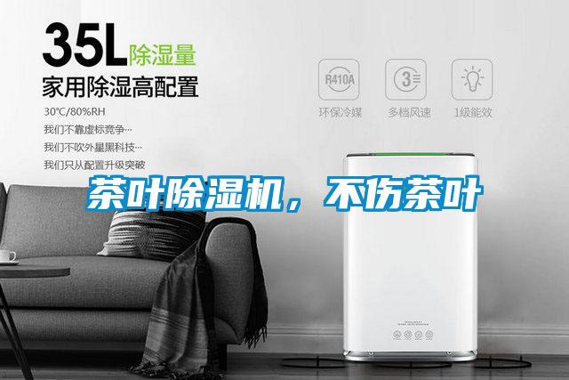 茶葉除濕機，不傷茶葉