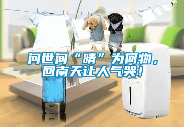 問(wèn)世間“晴”為何物，回南天讓人氣哭！