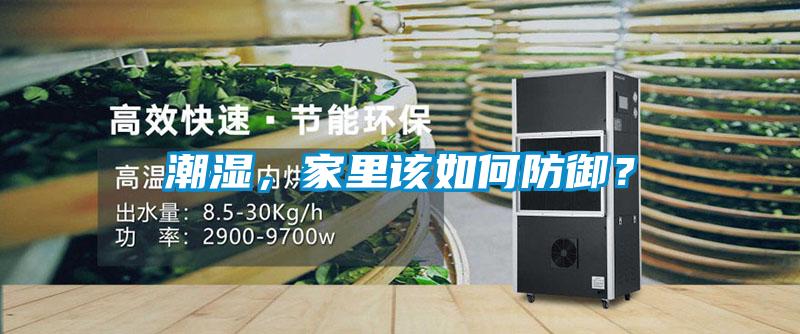 潮濕，家里該如何防御？
