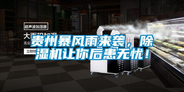 貴州暴風雨來襲，除濕機讓你后患無憂！