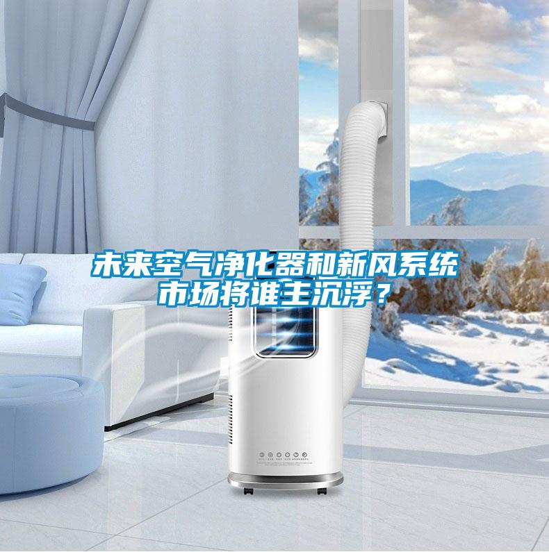 未來空氣凈化器和新風(fēng)系統(tǒng)市場將誰主沉??？