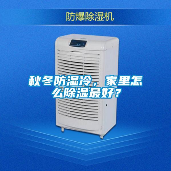 秋冬防濕冷，家里怎么除濕最好？