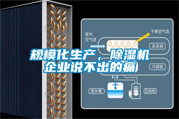 規(guī)?；a，除濕機企業(yè)說不出的痛