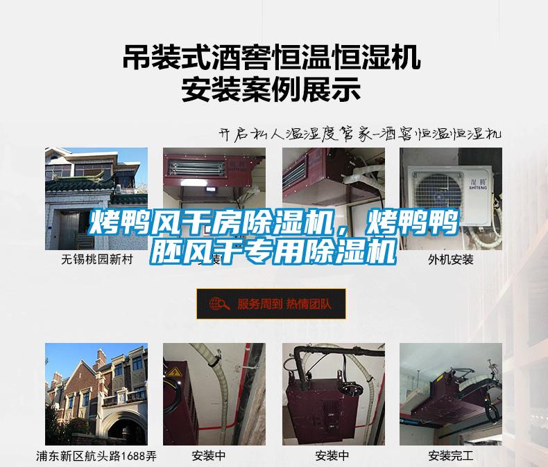 烤鴨風(fēng)干房除濕機(jī)，烤鴨鴨胚風(fēng)干專(zhuān)用除濕機(jī)