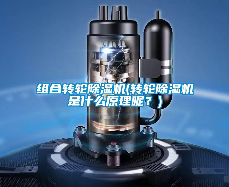 組合轉(zhuǎn)輪除濕機(jī)(轉(zhuǎn)輪除濕機(jī)是什么原理呢？)
