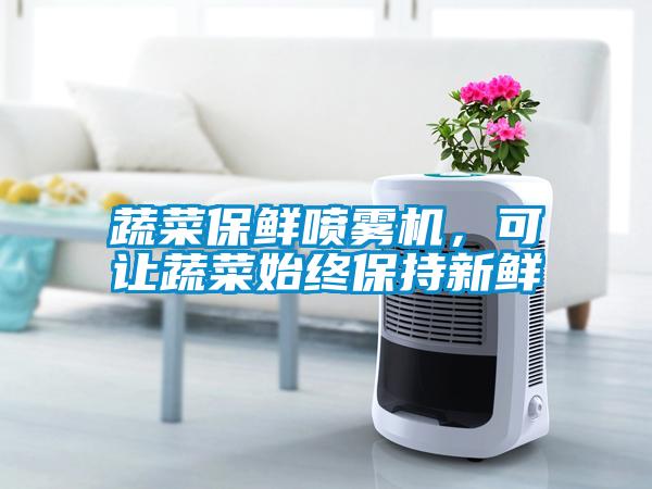 蔬菜保鮮噴霧機，可讓蔬菜始終保持新鮮