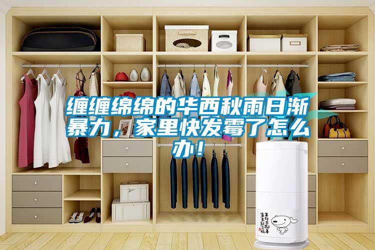 纏纏綿綿的華西秋雨日漸暴力，家里快發(fā)霉了怎么辦！