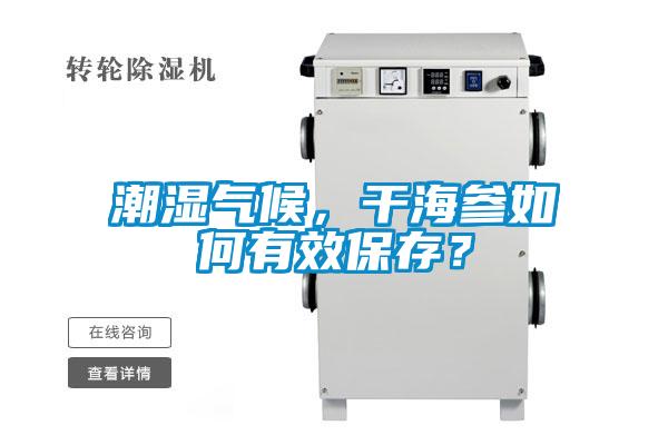 潮濕氣候，干海參如何有效保存？