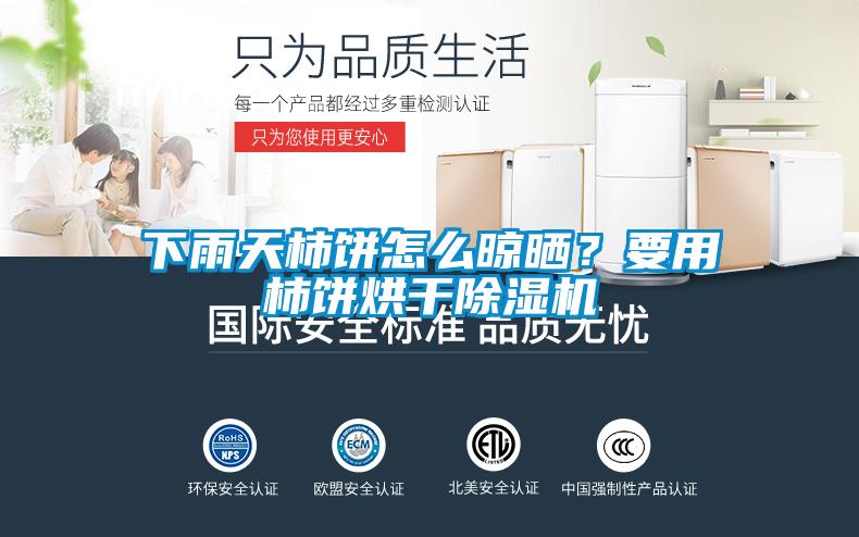 下雨天柿餅怎么晾曬？要用柿餅烘干除濕機