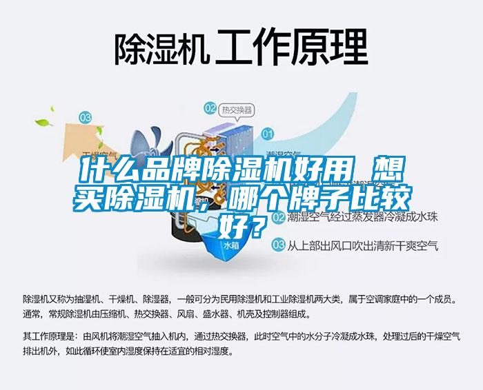 什么品牌除濕機(jī)好用 想買(mǎi)除濕機(jī)，哪個(gè)牌子比較好？