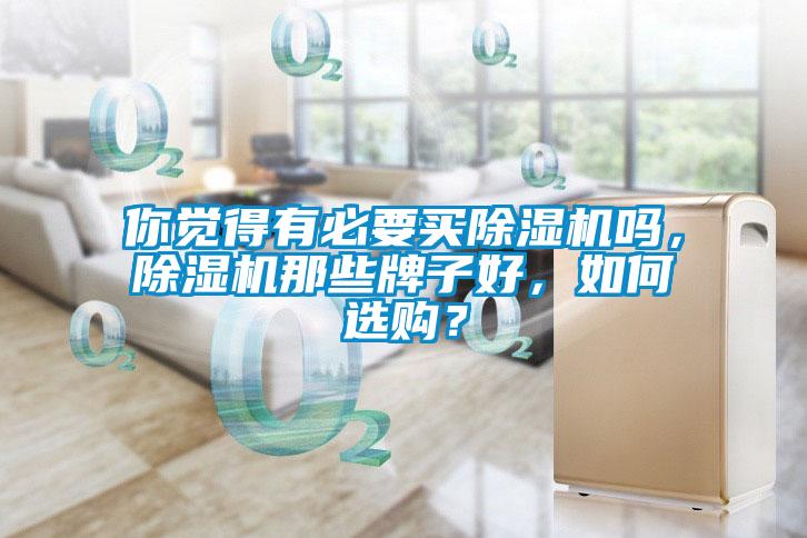 你覺得有必要買除濕機(jī)嗎，除濕機(jī)那些牌子好，如何選購？