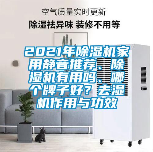 2021年除濕機家用靜音推薦、除濕機有用嗎、哪個牌子好？去濕機作用與功效