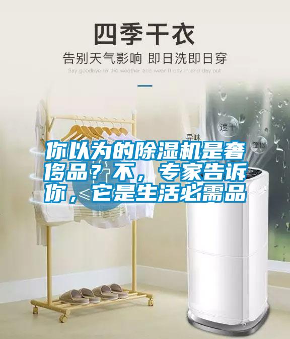 你以為的除濕機(jī)是奢侈品？不，專家告訴你，它是生活必需品