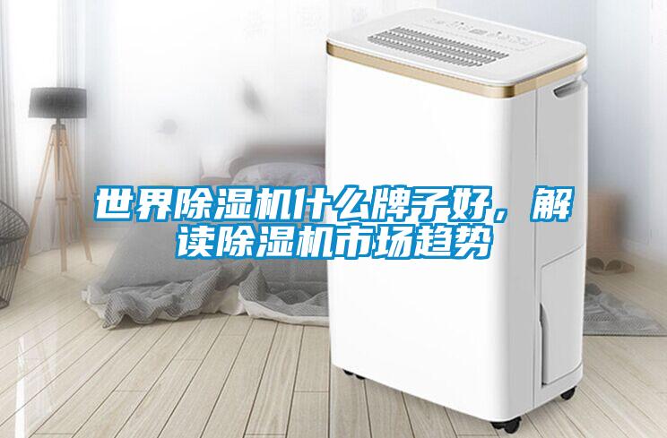 世界除濕機(jī)什么牌子好，解讀除濕機(jī)市場(chǎng)趨勢(shì)