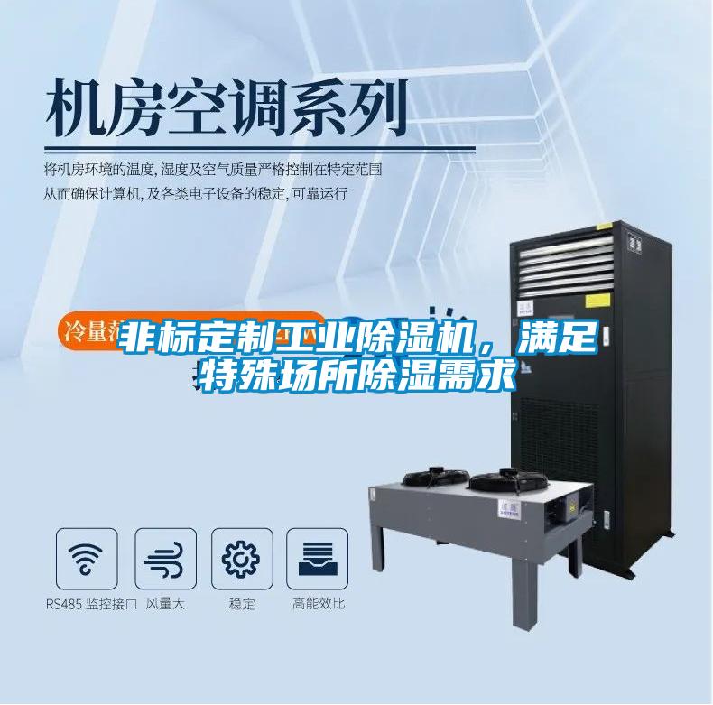 非標(biāo)定制工業(yè)除濕機(jī)，滿(mǎn)足特殊場(chǎng)所除濕需求