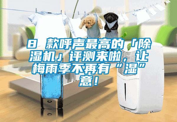 8 款呼聲最高的「除濕機」評測來啦，讓梅雨季不再有“濕”意！