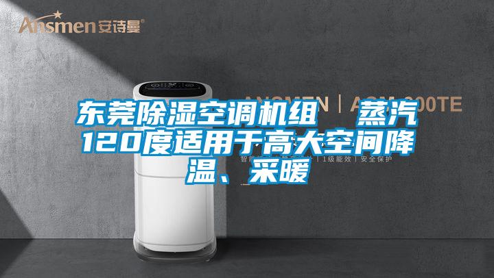 東莞除濕空調(diào)機(jī)組  蒸汽120度適用于高大空間降溫、采暖