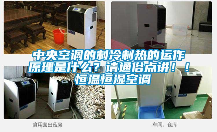 中央空調(diào)的制冷制熱的運作原理是什么？請通俗點講??！ 恒溫恒濕空調(diào)