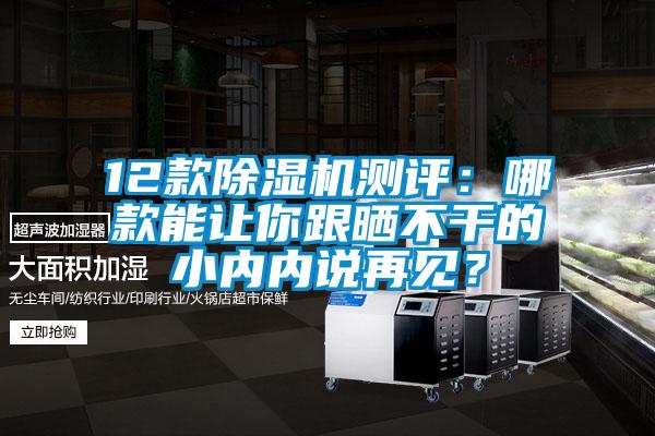 12款除濕機(jī)測評(píng)：哪款能讓你跟曬不干的小內(nèi)內(nèi)說再見？