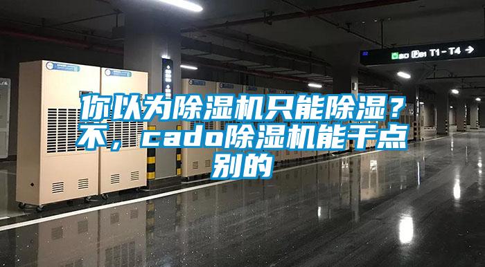 你以為除濕機(jī)只能除濕？不，cado除濕機(jī)能干點(diǎn)別的