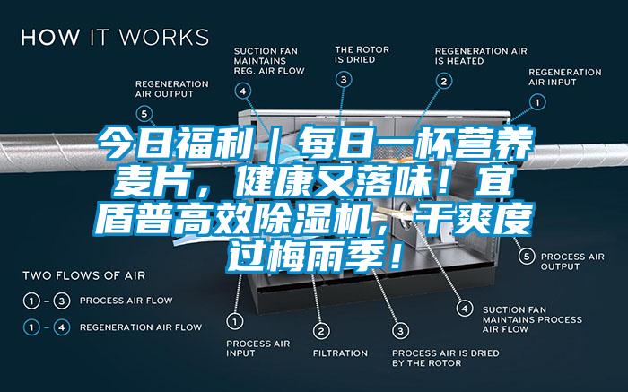 今日福利｜每日一杯營養(yǎng)麥片，健康又落味！宜盾普高效除濕機(jī)，干爽度過梅雨季！